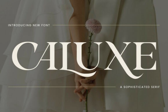 Caluxe: Modern Luxury Serif Font Review