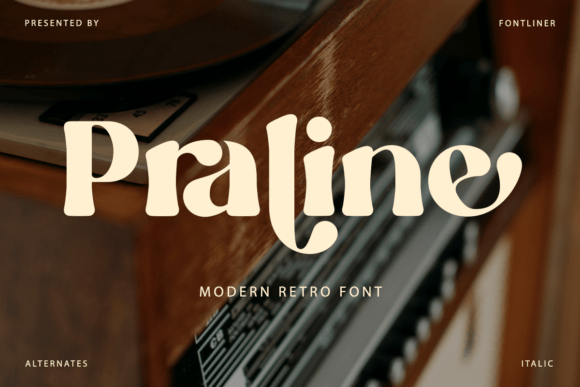 Praline: A Modern Retro Serif Font for Crafters and Designers