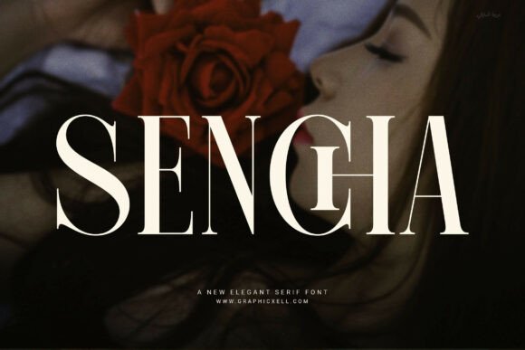 Sencha: A Modern Serif Typeface for Elegant Publishing